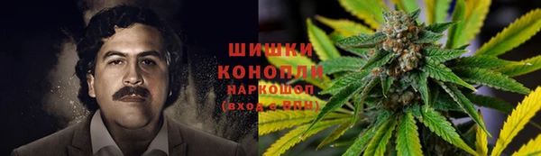 тгк Балахна