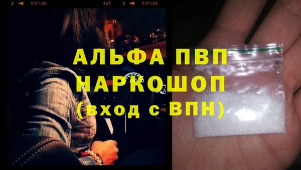 ECSTASY Белокуриха