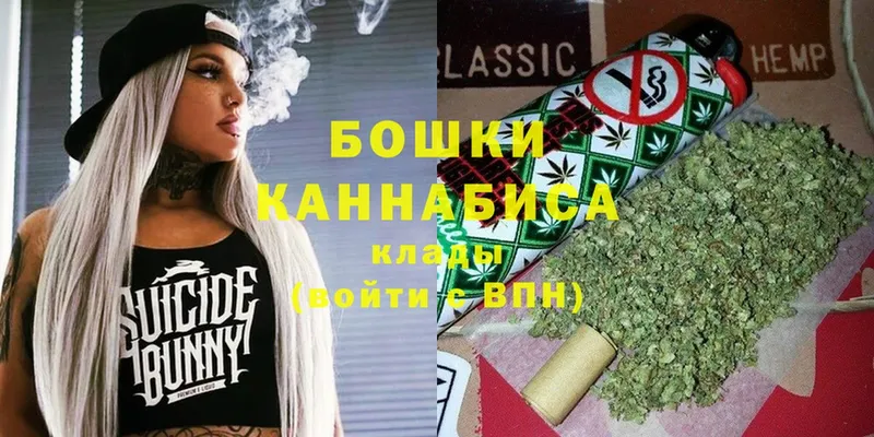 Бошки Шишки White Widow  Дигора 