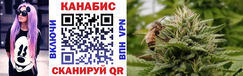 Канабис план  Дигора 
